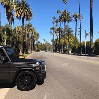 Отзыв от Владимир - DTV виза